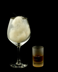 Hair Of The Dog