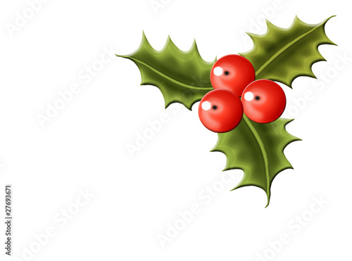 "Mistelzweig" Stockfotos und lizenzfreie Bilder auf Bild