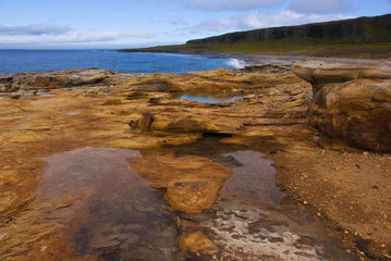 Yellow stones on the Arctic Coast