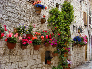 Colorful flowers lining a medieval stone wall in Italy