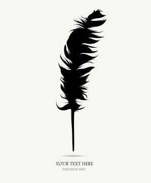 recommend clip art: feather