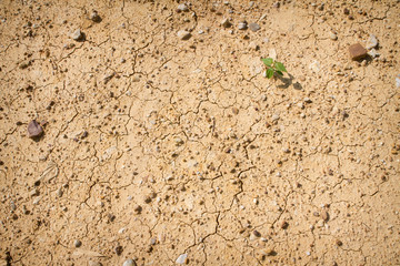 Soil dry