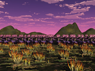 campos de venus © Pablo Armelles