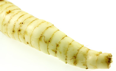 Naklejka premium arrow-root, maranta arundinacea