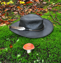 Black hat with mushroom on the moos pillow