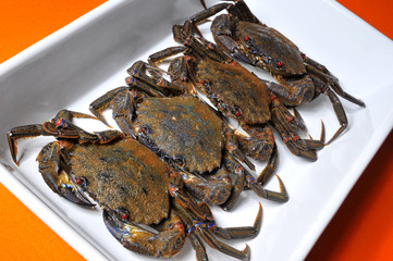 necoras