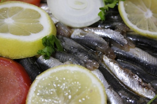 fırında hamsi