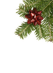 Branch of fir with christmas decorations