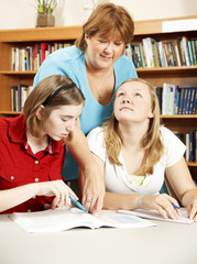 Librarian Assists Students