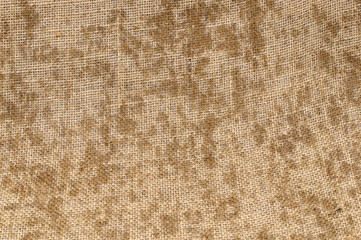 flax