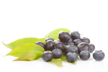 Fresh blueberries on green leave over white background