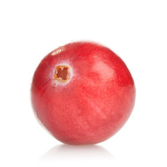 Macro photograph of a fresh cranberry on white background