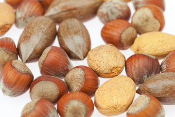 background of various kinds of nuts