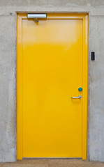 Security door