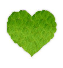 Fototapeta premium Leaves Love Shape