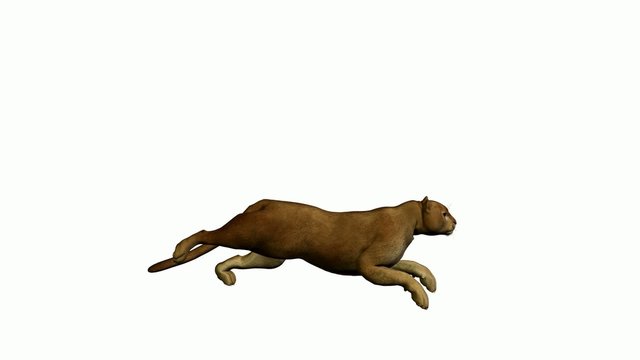 Puma Running