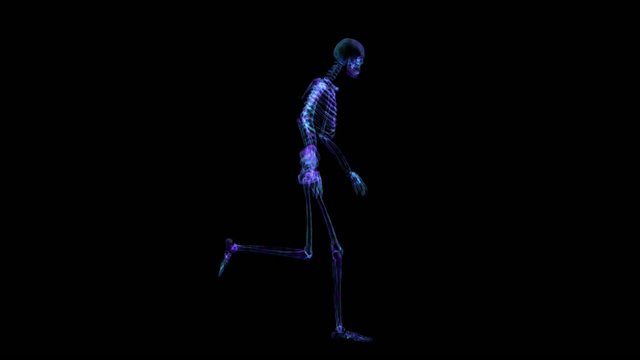 Skeleton Running