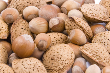 hazelnuts and almond nuts Isolated on a white background
