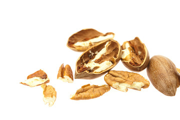 Pecan isolated on white
