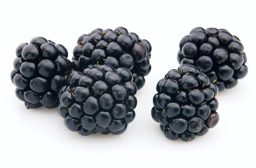 Ripe blackberry