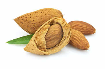 Almonds with leaves