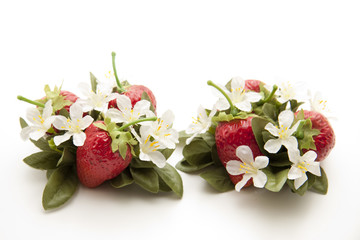 Dekoration Erdbeeren