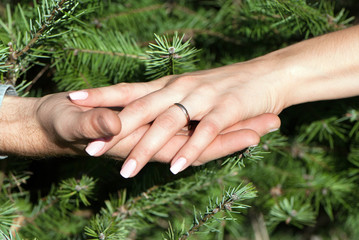 Close up of female and man's hands against fur-tree branches