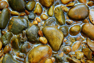 particolare paesaggio p 255