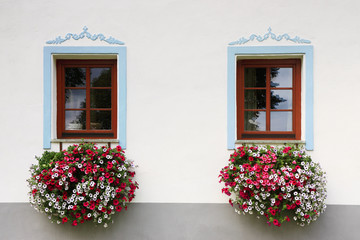 Fototapeta na wymiar close-up two wood old windows with flowers