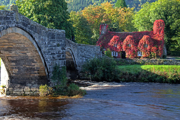 Llanwrst Tea Rooms
