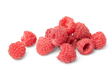 berries on white background