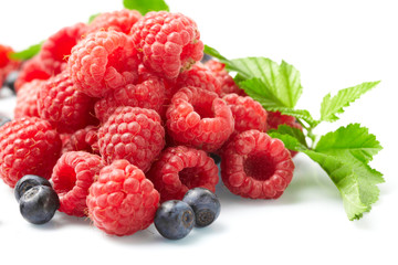 berries on white background