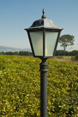 Lamp post