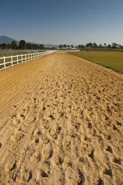 Horse Race Track