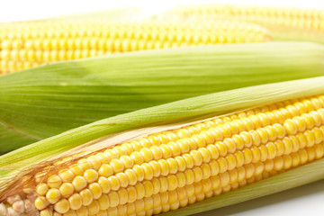 Fresh corn vegetable