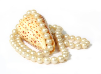 Pearls in seashell