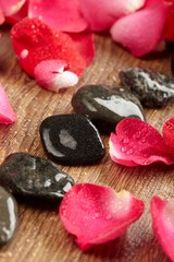 Obraz na płótnie Canvas Petals of a rose and pebble