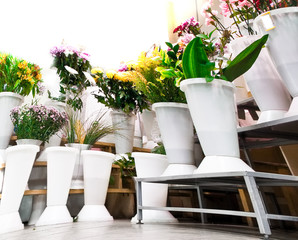 florists shop