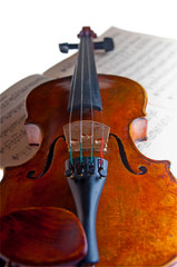 Fototapeta premium violin