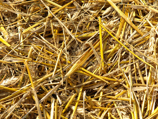 straw background