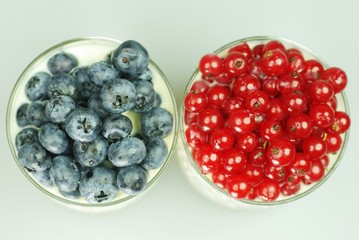 Blaubeeren und Johannisbeeren im Glas