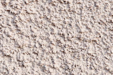 Grey Roughcats Wall