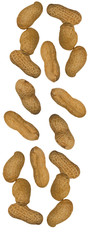 falling peanuts