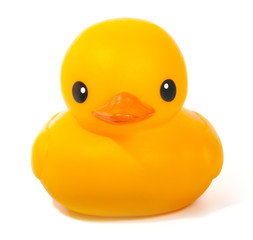 Duck toy for bath
