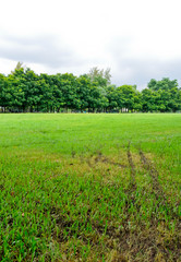 Obraz premium Trace of bicycle wheels