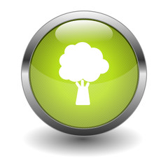 Button Baum/Ökologie
