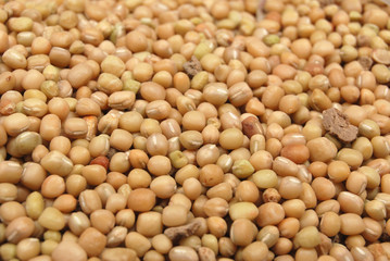 Adzuki beans