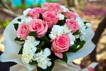 white and pink tulips
