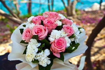 white and pink tulips