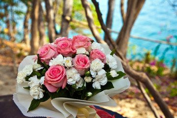 white and pink tulips